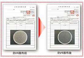 BV4散布前・散布後のカビ菌検査サンプリング